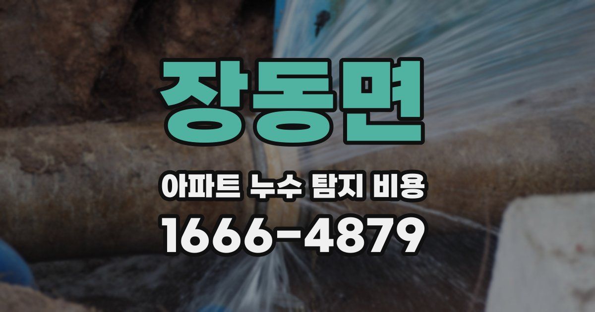 장동면 아파트 누수 탐지 비용
