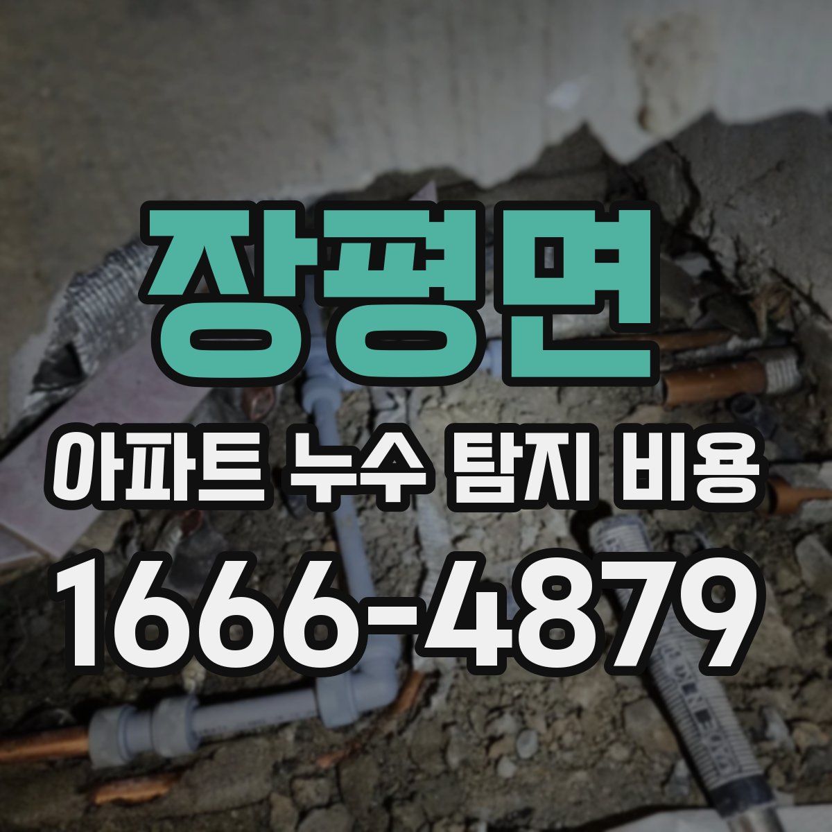 장평면 아파트 누수 탐지 비용