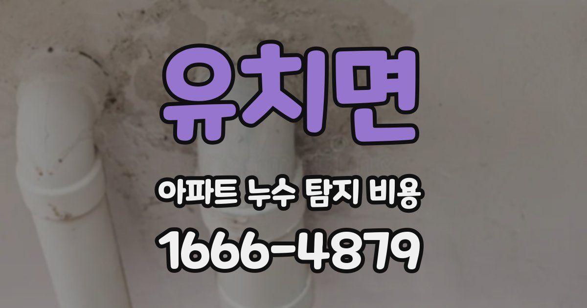 유치면 아파트 누수 탐지 비용