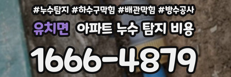 유치면 아파트 누수 탐지 비용