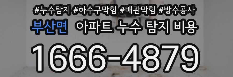 부산면 아파트 누수 탐지 비용