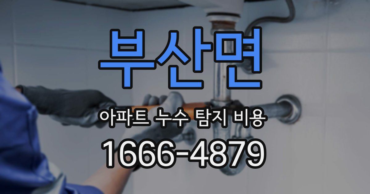 부산면 아파트 누수 탐지 비용