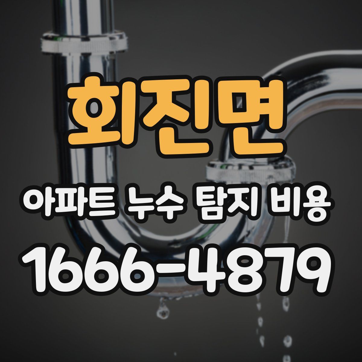회진면 아파트 누수 탐지 비용