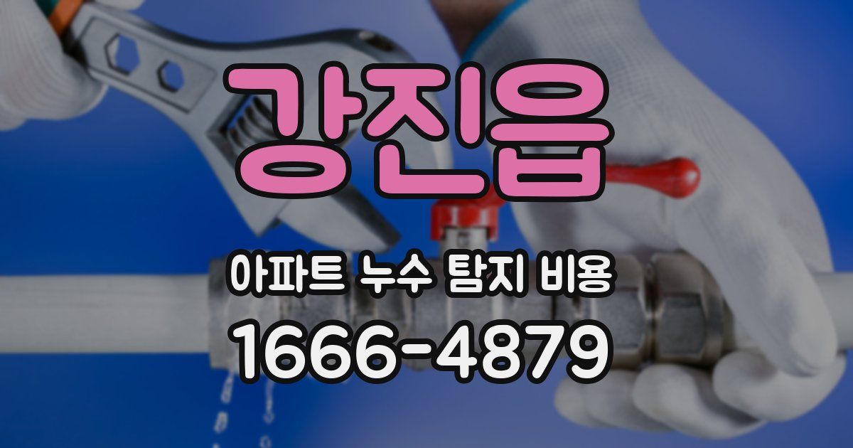 강진읍 아파트 누수 탐지 비용