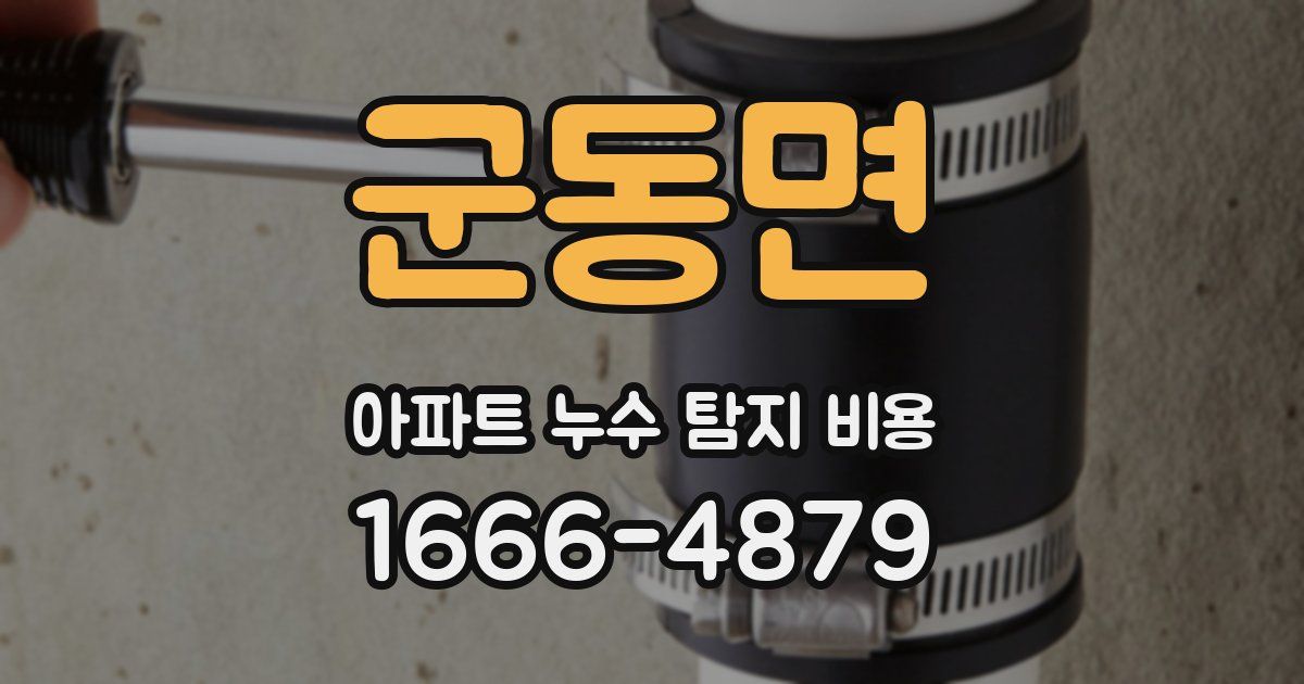 군동면 아파트 누수 탐지 비용