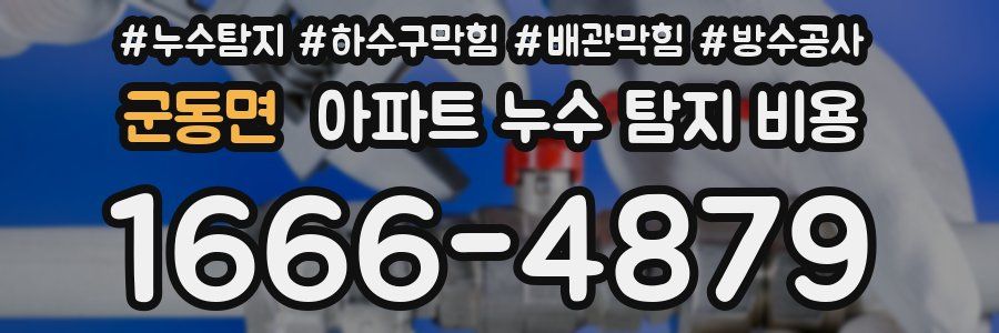 군동면 아파트 누수 탐지 비용