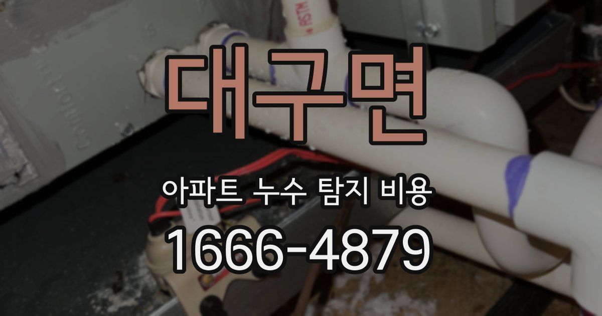 대구면 아파트 누수 탐지 비용