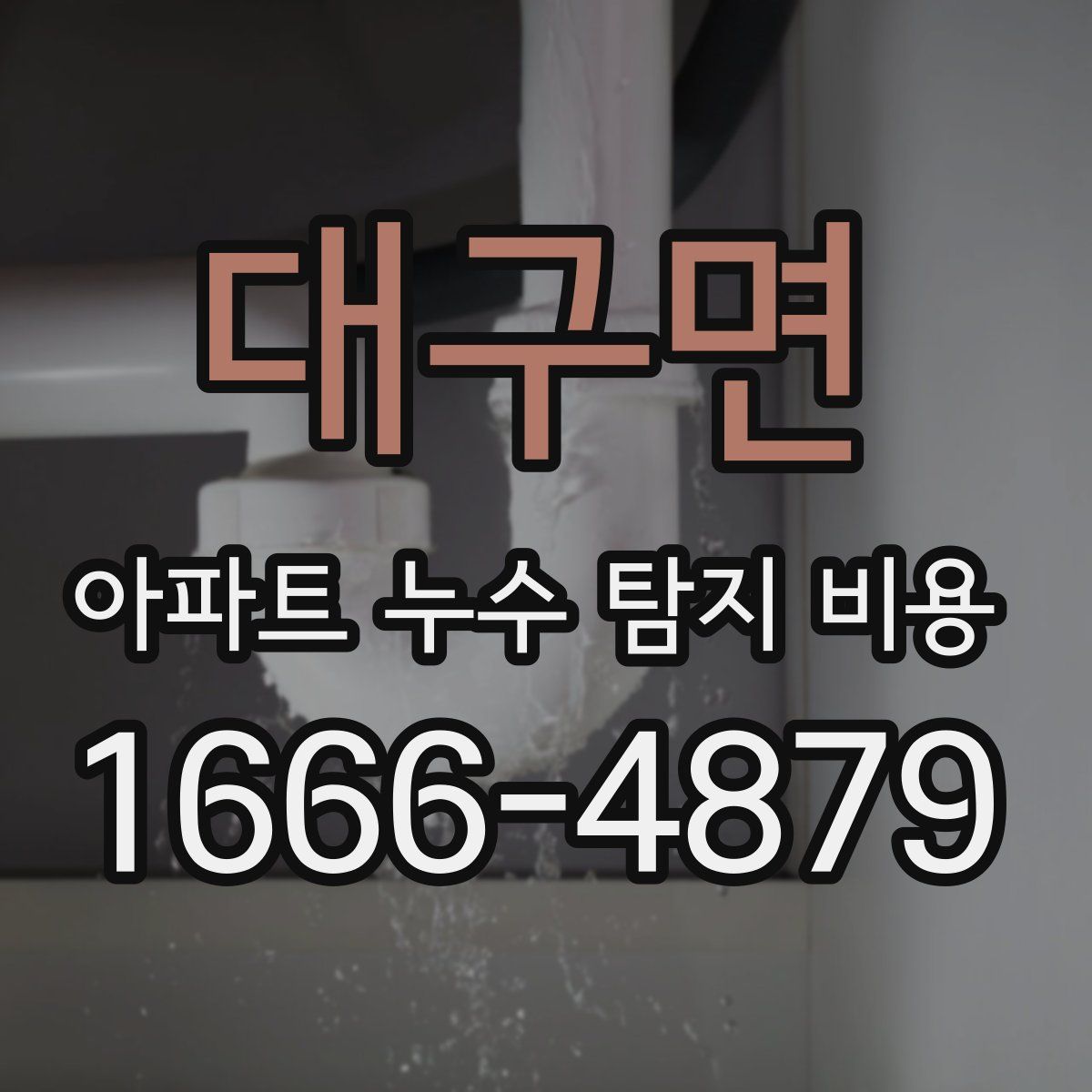 대구면 아파트 누수 탐지 비용