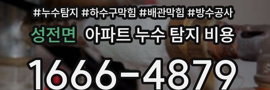 성전면 아파트 누수 탐지 비용