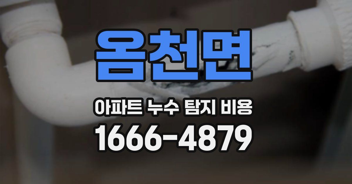 옴천면 아파트 누수 탐지 비용