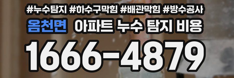 옴천면 아파트 누수 탐지 비용