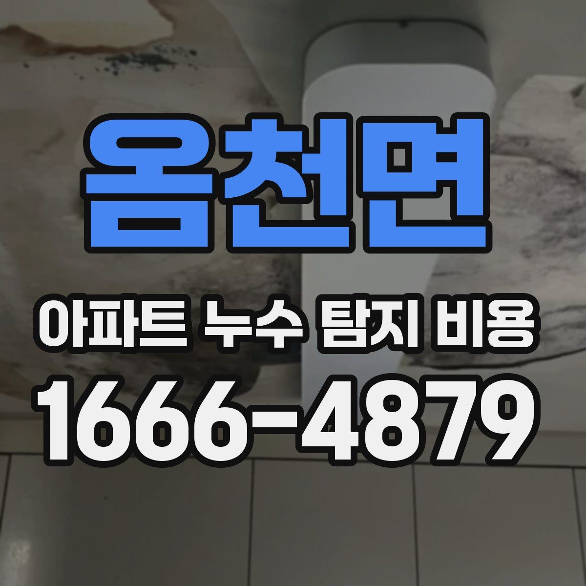 옴천면 아파트 누수 탐지 비용