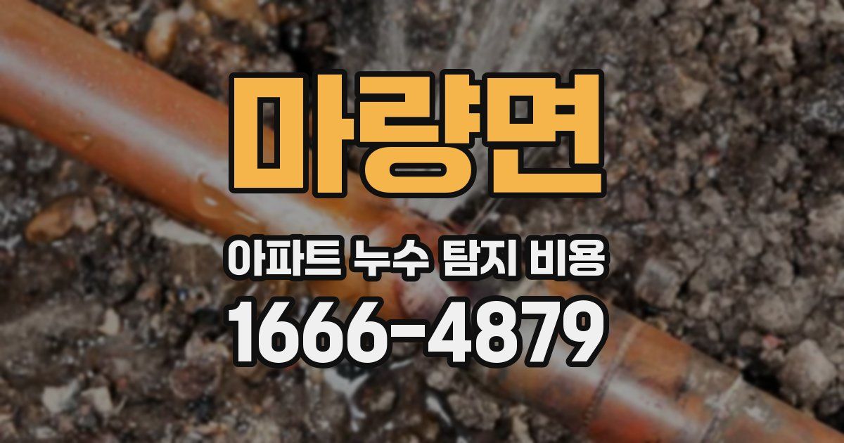 마량면 아파트 누수 탐지 비용