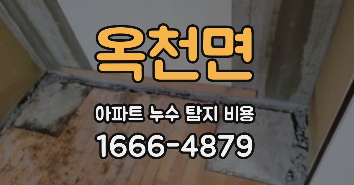 옥천면 아파트 누수 탐지 비용