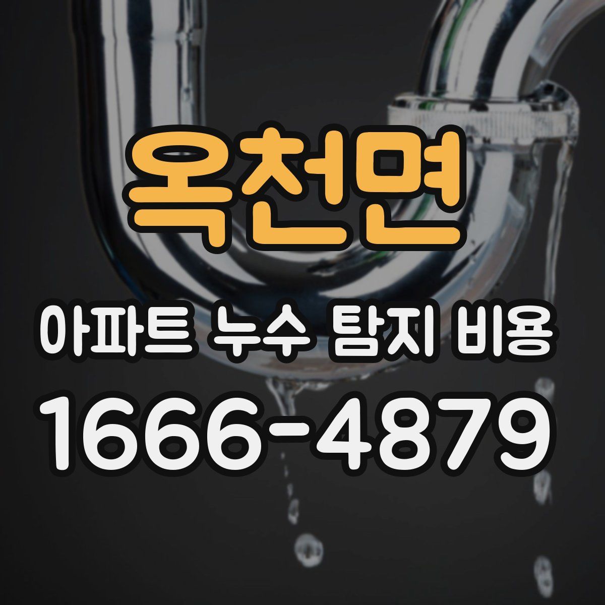 옥천면 아파트 누수 탐지 비용