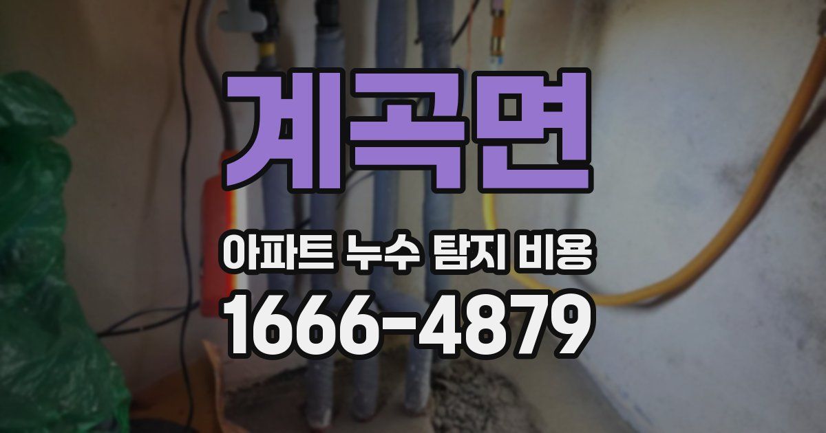 계곡면 아파트 누수 탐지 비용