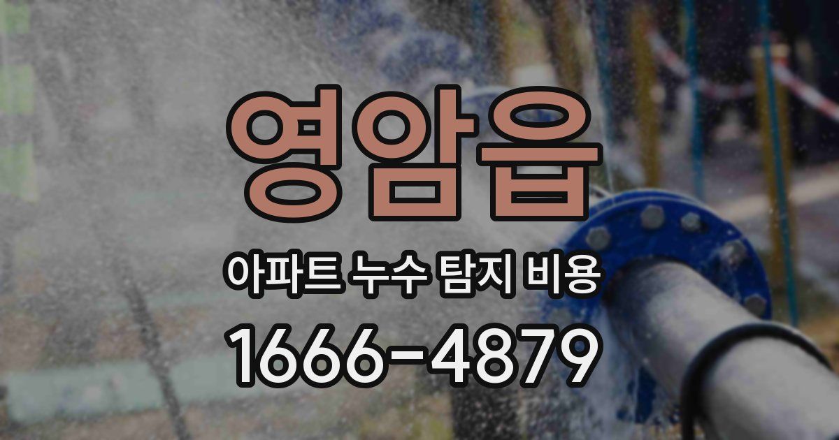 영암읍 아파트 누수 탐지 비용