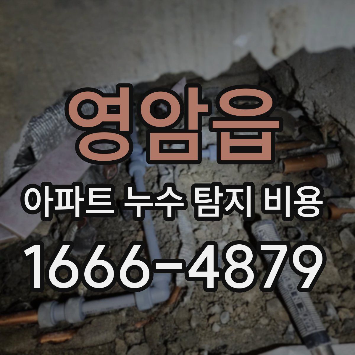 영암읍 아파트 누수 탐지 비용