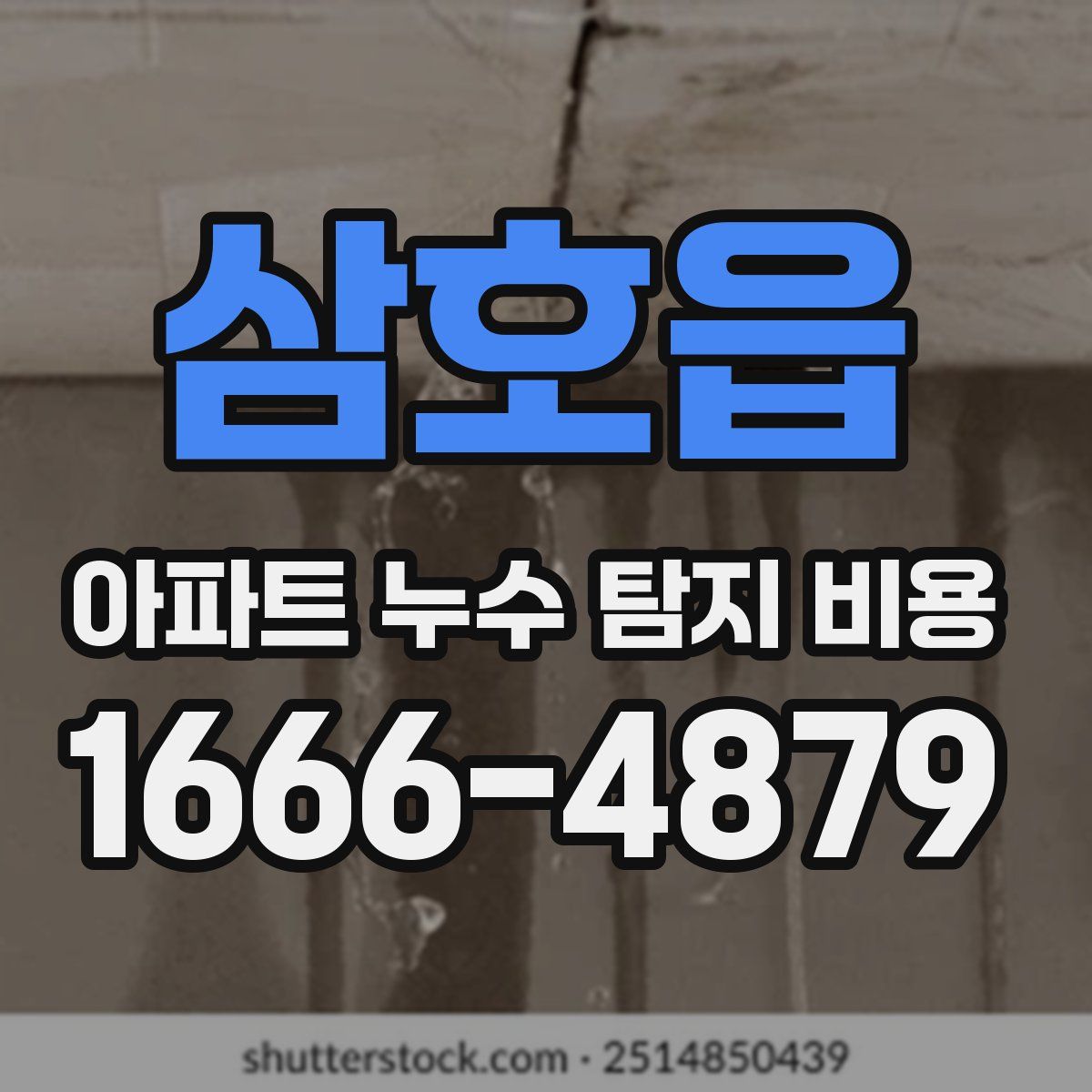 삼호읍 아파트 누수 탐지 비용