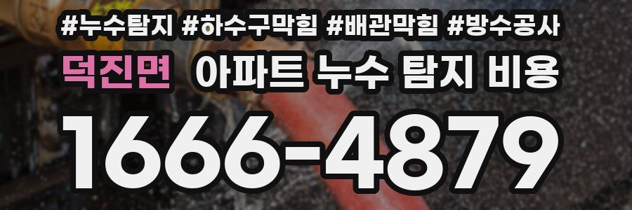 덕진면 아파트 누수 탐지 비용