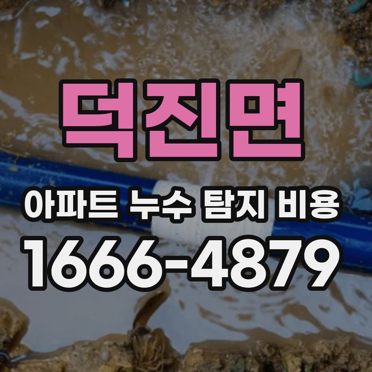 덕진면 아파트 누수 탐지 비용