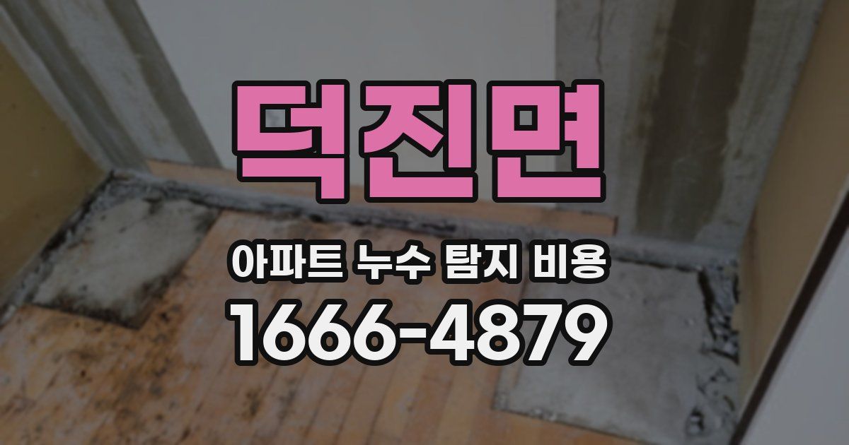 덕진면 아파트 누수 탐지 비용