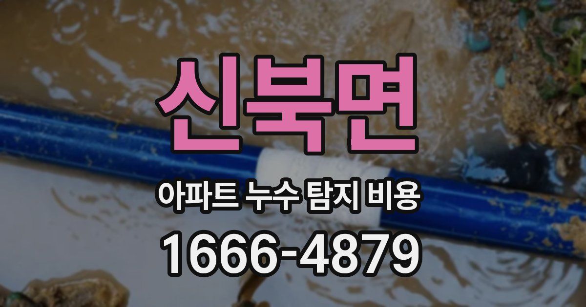 신북면 아파트 누수 탐지 비용