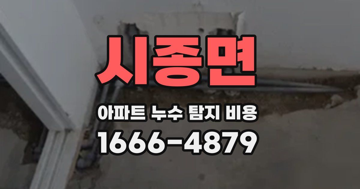 시종면 아파트 누수 탐지 비용