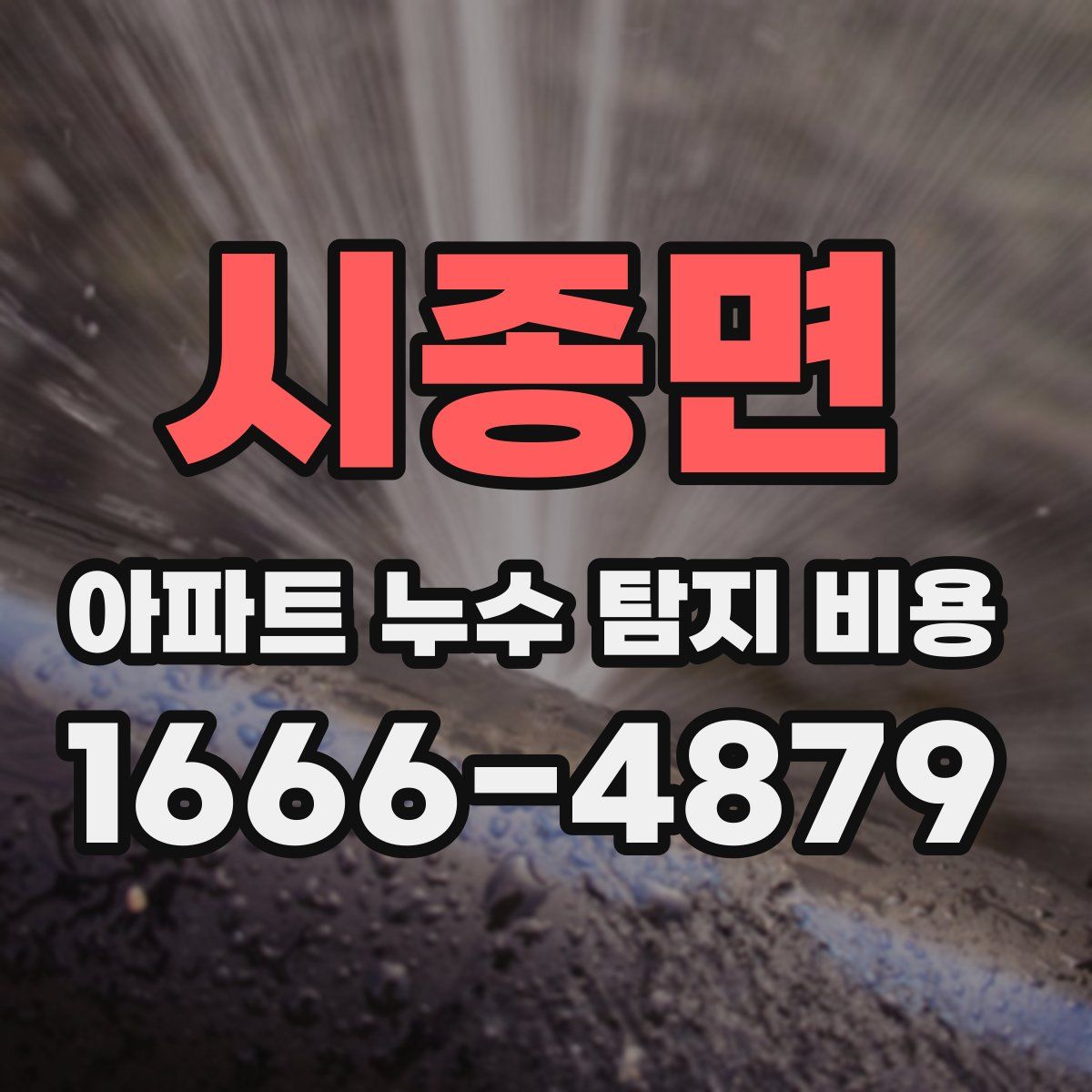 시종면 아파트 누수 탐지 비용