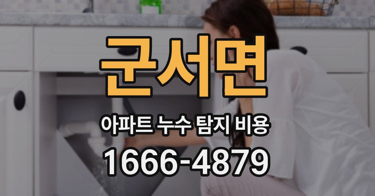 군서면 아파트 누수 탐지 비용