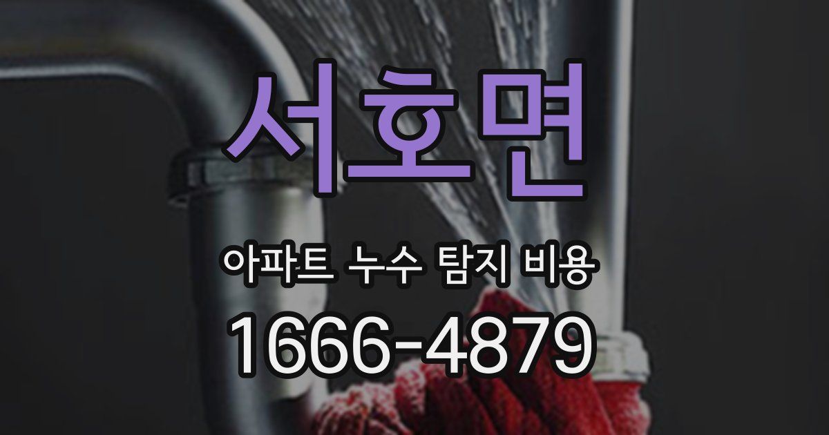 서호면 아파트 누수 탐지 비용