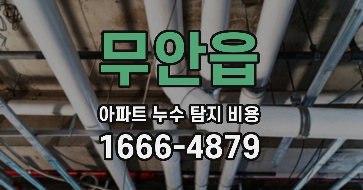 무안읍 아파트 누수 탐지 비용