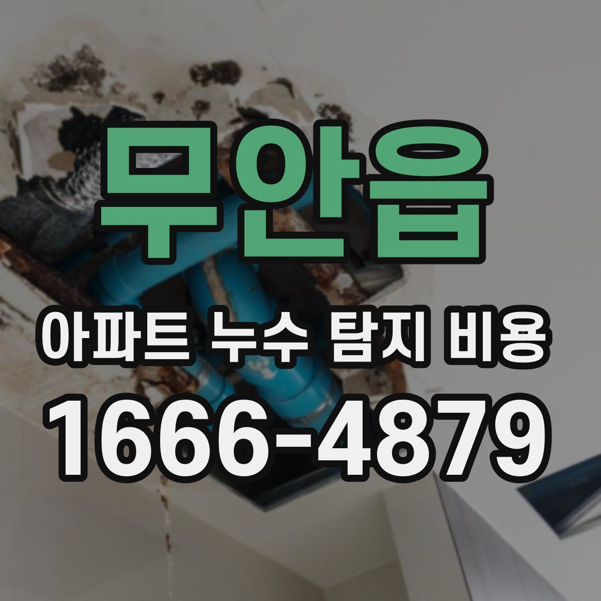 무안읍 아파트 누수 탐지 비용
