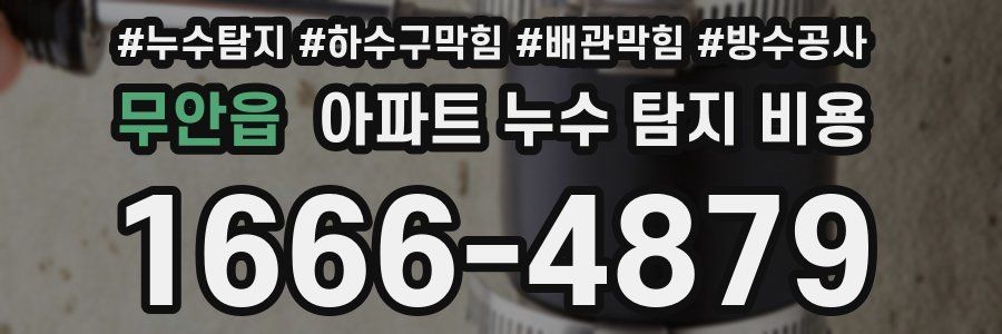 무안읍 아파트 누수 탐지 비용