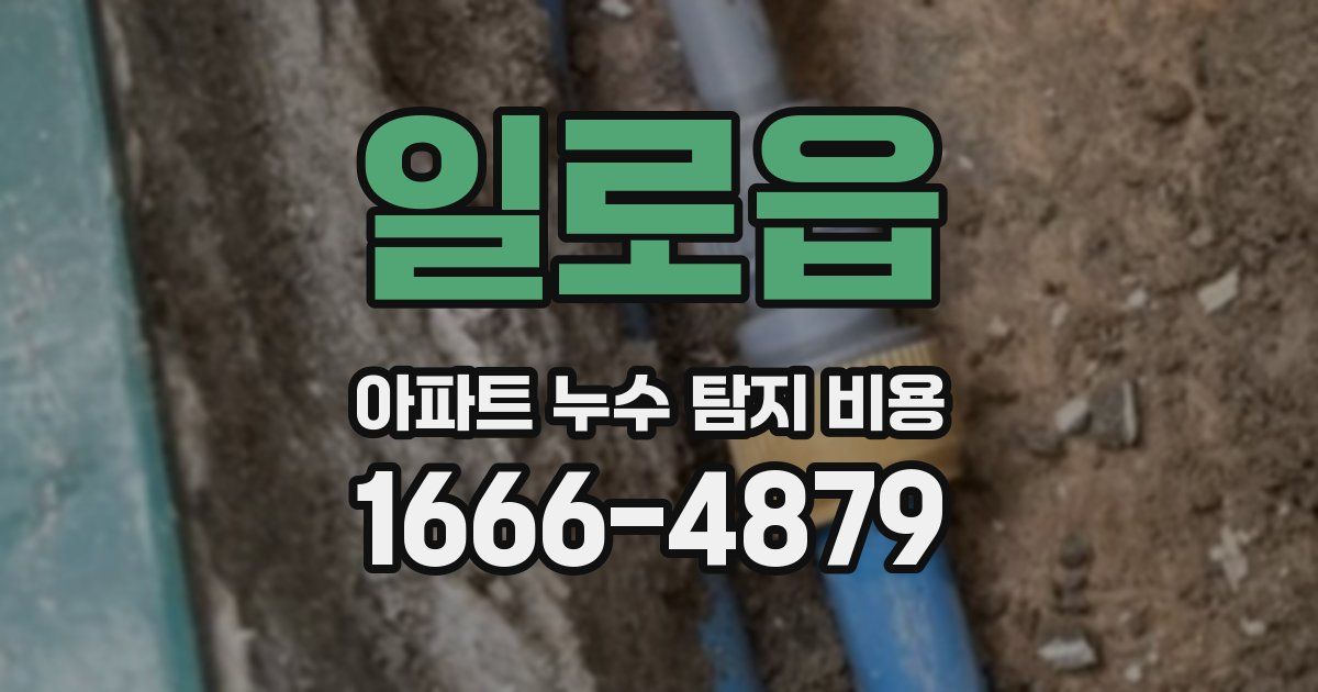 일로읍 아파트 누수 탐지 비용