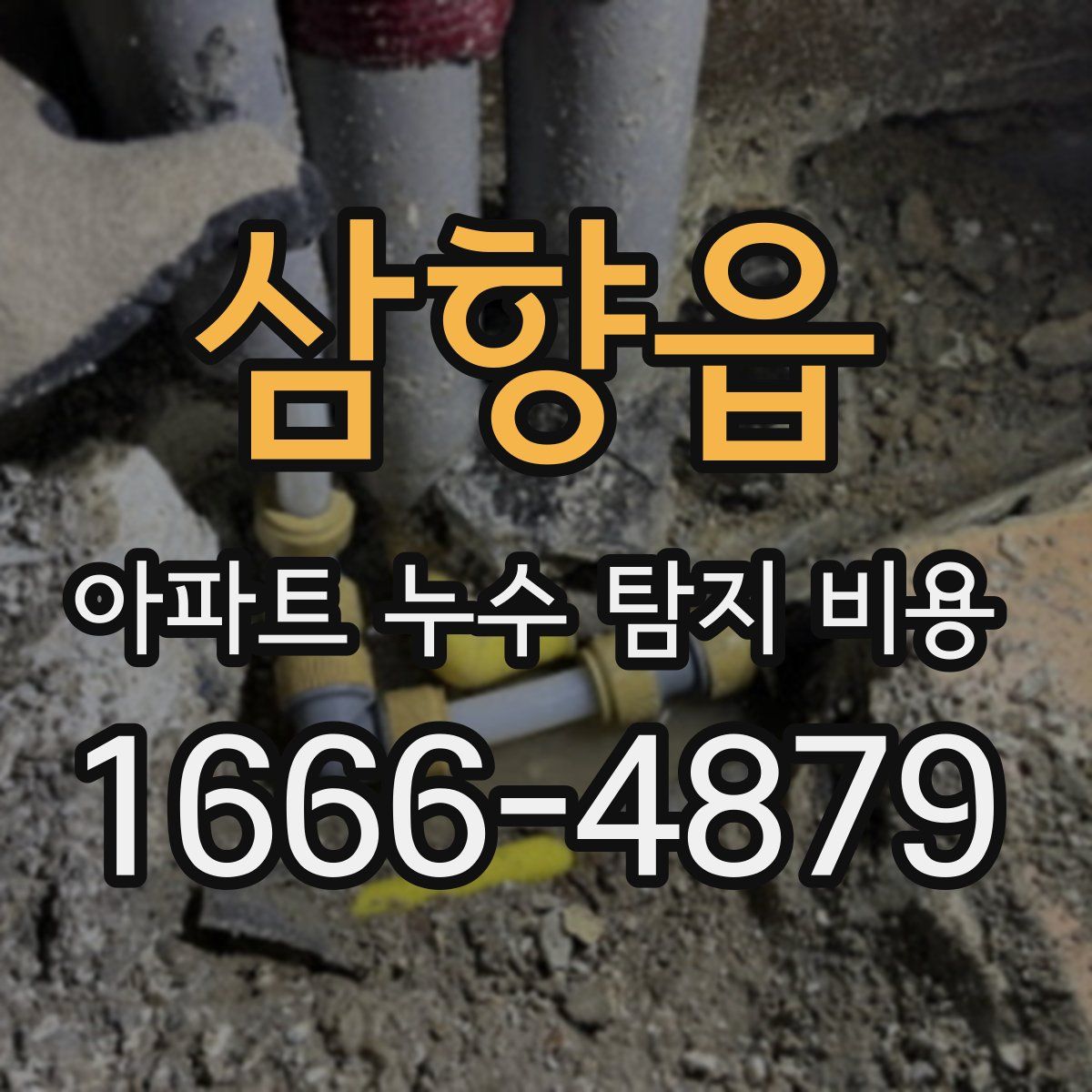 삼향읍 아파트 누수 탐지 비용