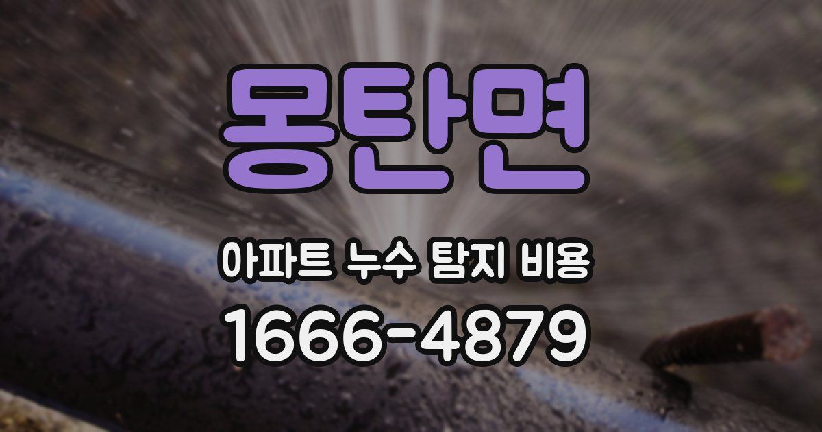 몽탄면 아파트 누수 탐지 비용