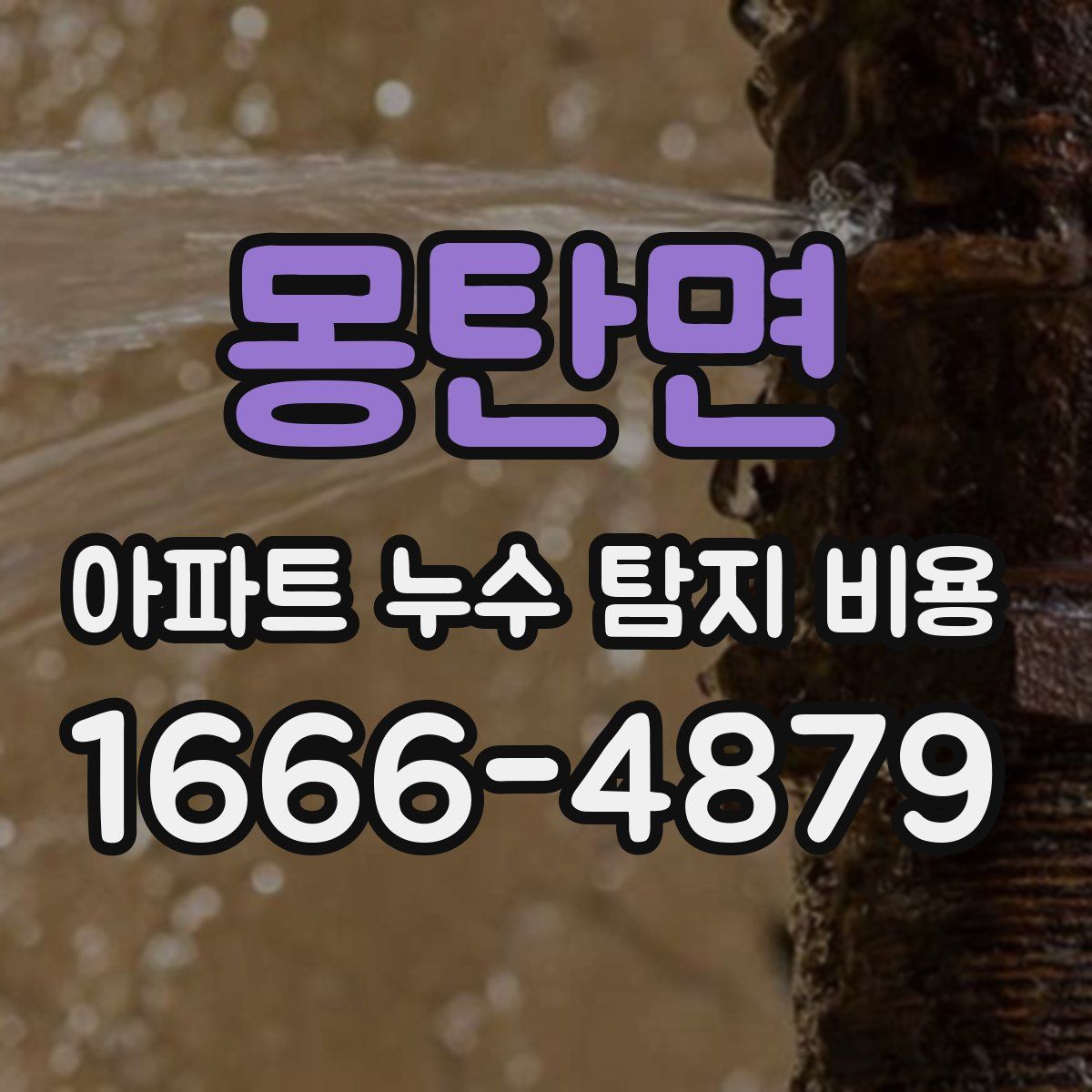 몽탄면 아파트 누수 탐지 비용