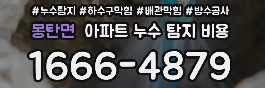 몽탄면 아파트 누수 탐지 비용