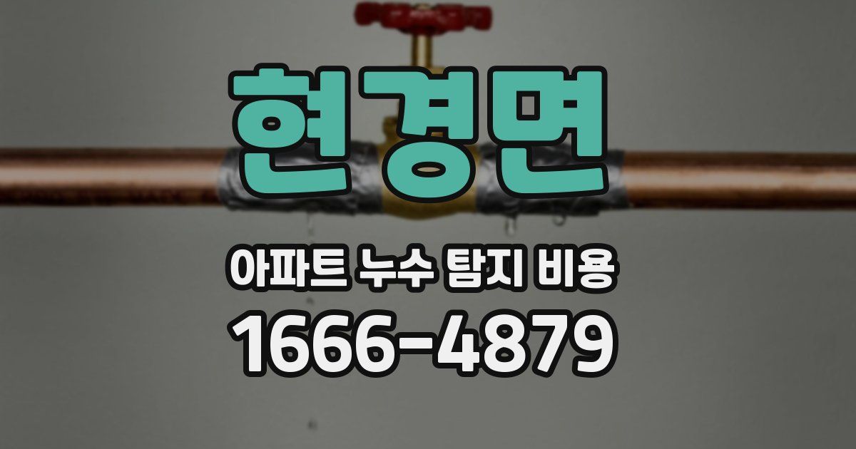 현경면 아파트 누수 탐지 비용