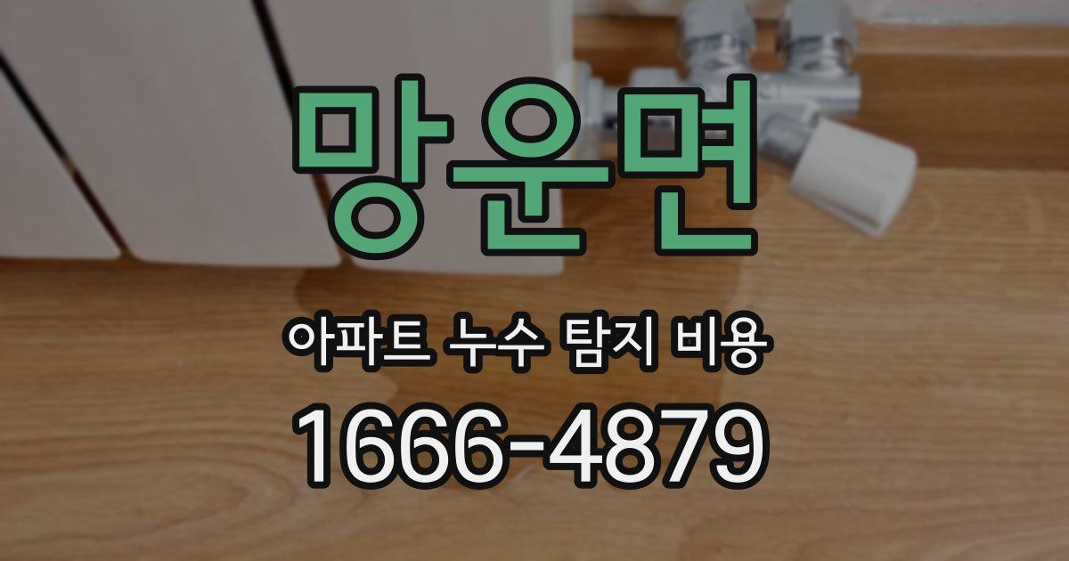 망운면 아파트 누수 탐지 비용