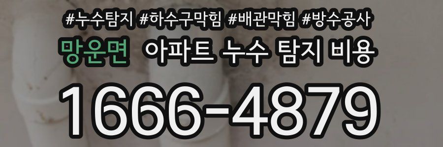 망운면 아파트 누수 탐지 비용