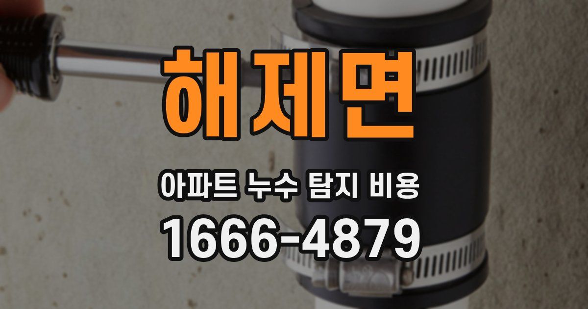해제면 아파트 누수 탐지 비용