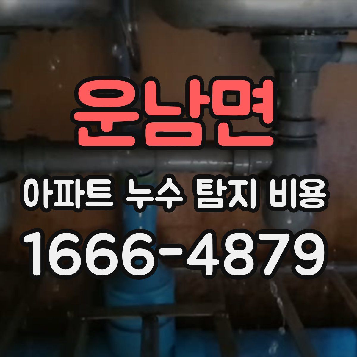 운남면 아파트 누수 탐지 비용