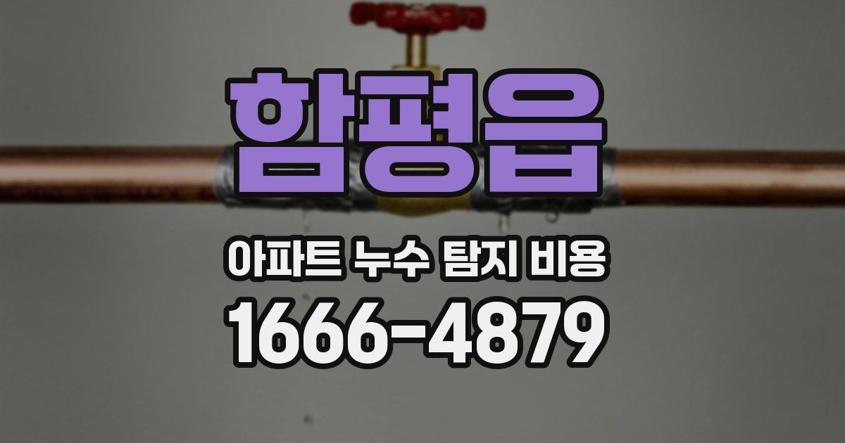 함평읍 아파트 누수 탐지 비용