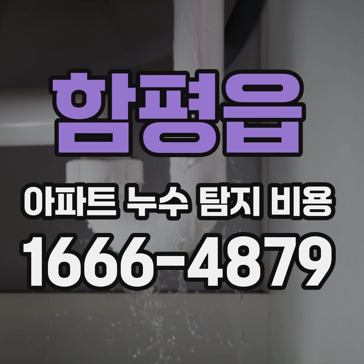 함평읍 아파트 누수 탐지 비용