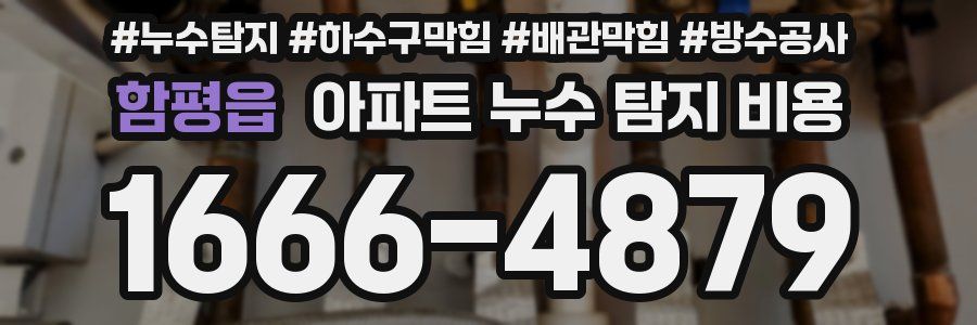 함평읍 아파트 누수 탐지 비용