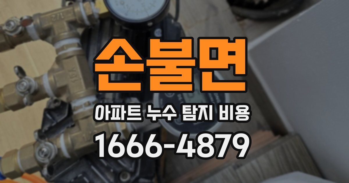 손불면 아파트 누수 탐지 비용