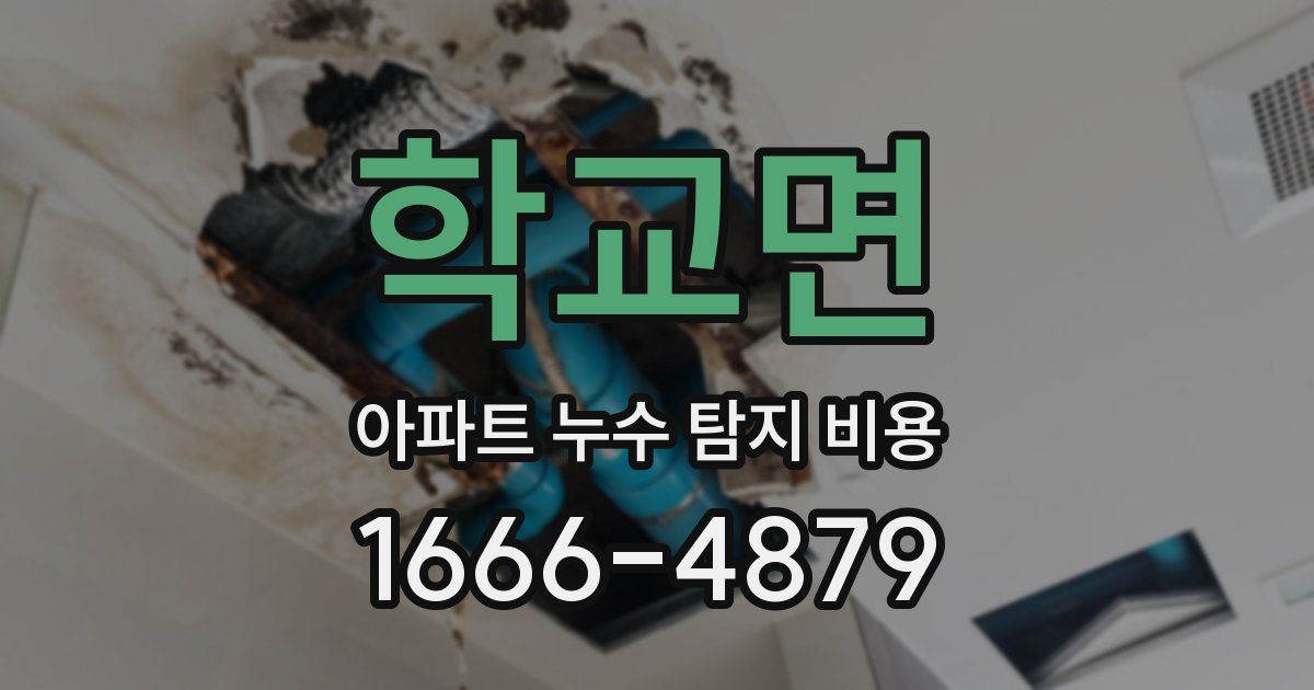 학교면 아파트 누수 탐지 비용