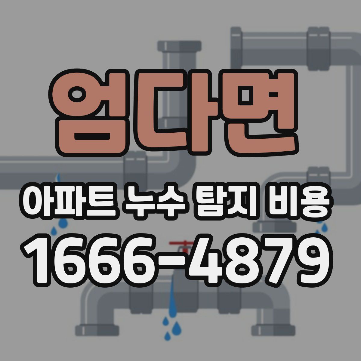 엄다면 아파트 누수 탐지 비용